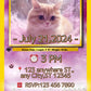 Custom-Supetmon-Card-Birthday-Video-Invitation-Allen-Kitty-Cover3