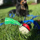 Outdoor Pokémon Poké Ball Dog Waste Bag Holder