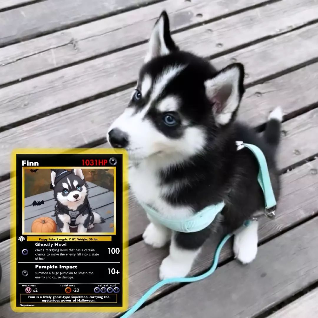 little-huskies-supetmon-custom-pokemon-card